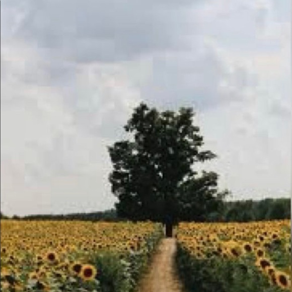 Meet your Posher, Emme - Picture 1 of 1